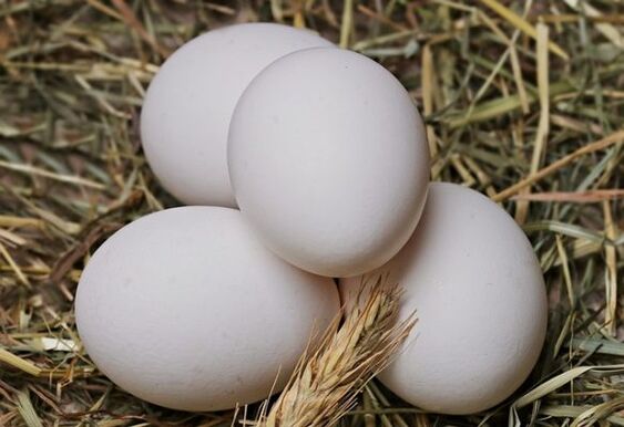 Yumurta diyeti her gün tavuk yumurtası yemeyi içerir. 