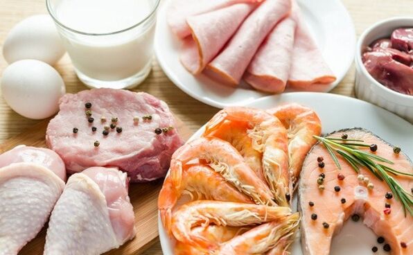Temel protein diyeti